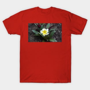 White and Yellow Frangipani T-Shirt